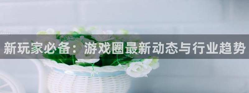 杜邦娱乐app：新玩家必备：游戏圈最新动态与行业趋势
