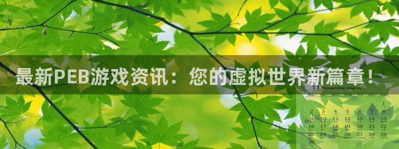 杜邦娱乐代理登陆：最新PEB游戏资讯：您的虚拟世界新篇章！