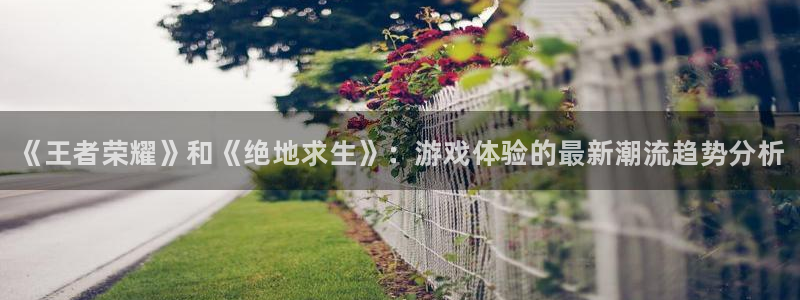 杜邦娱乐平台官网登录：《王者荣耀》和《绝地求生》：游戏体验的