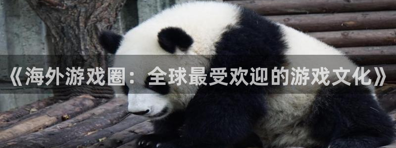 杜邦娱乐升级5994月：《海外游戏圈：全球最受欢迎的游戏文化