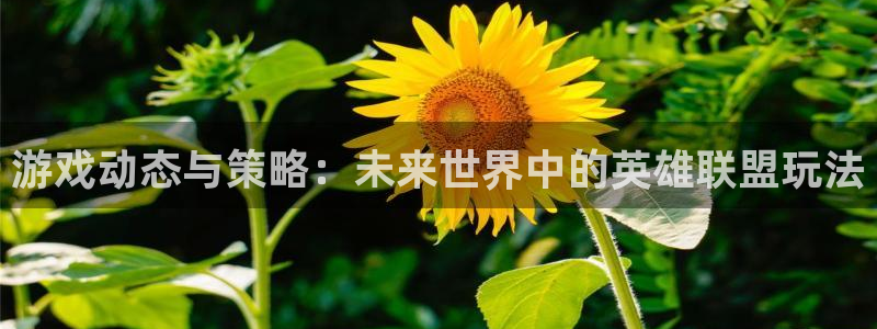 杜邦娱乐是什么