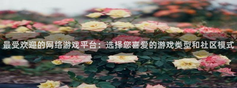 杜邦娱乐平台负责人：最受欢迎的网络游戏平台：选择您喜爱的游戏