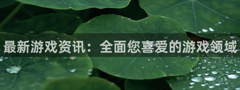 杜邦娱乐登陆：最新游戏资讯：全面您喜爱的游戏领域