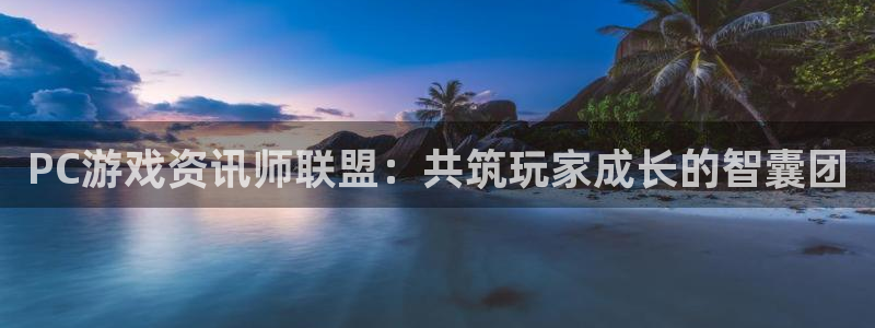 杜邦娱乐登录地址：PC游戏资讯师联盟：共筑玩家成长的智囊团