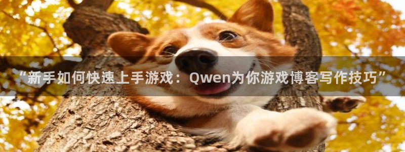 杜邦娱乐是什么：“新手如何快速上手游戏：Qwen为你游戏博客