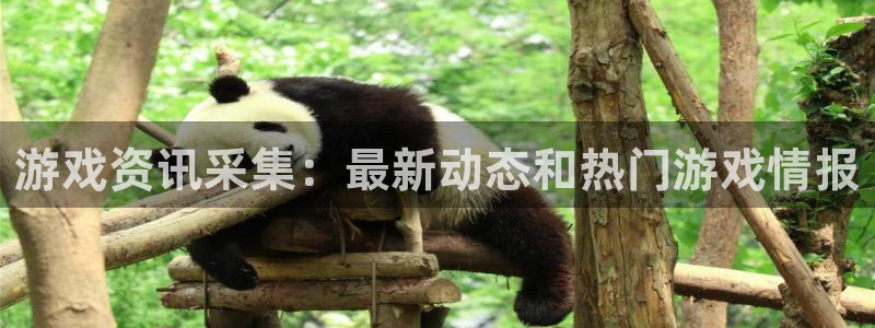 杜邦娱乐官网登录：游戏资讯采集：最新动态和热门游戏情报